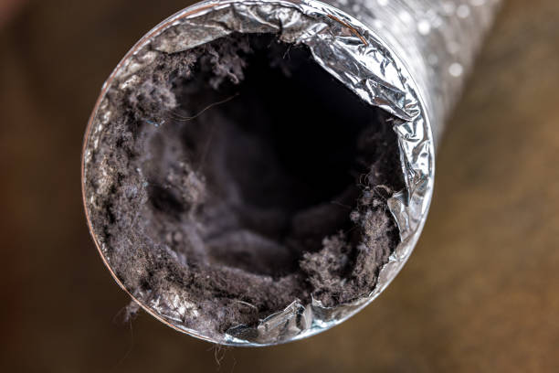 Best Air Duct Cleaning Company Near Me  in Fort Worth, TX